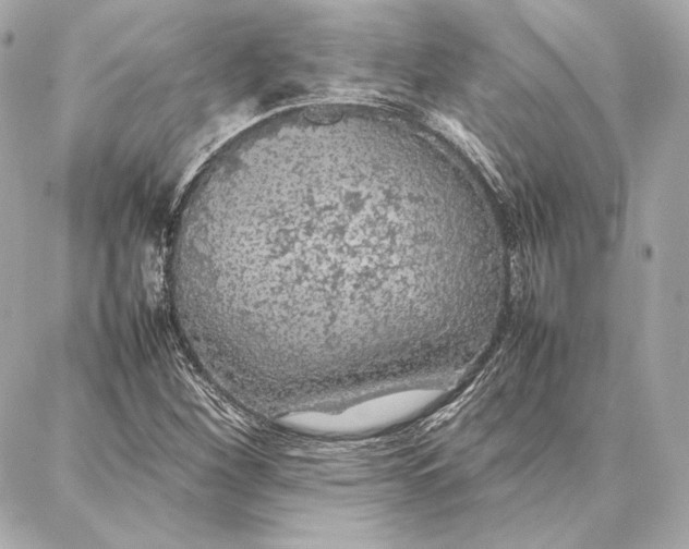 X0000087361260200705111636