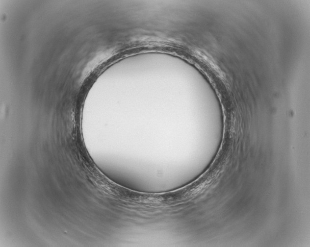 X0000087361261200705111636