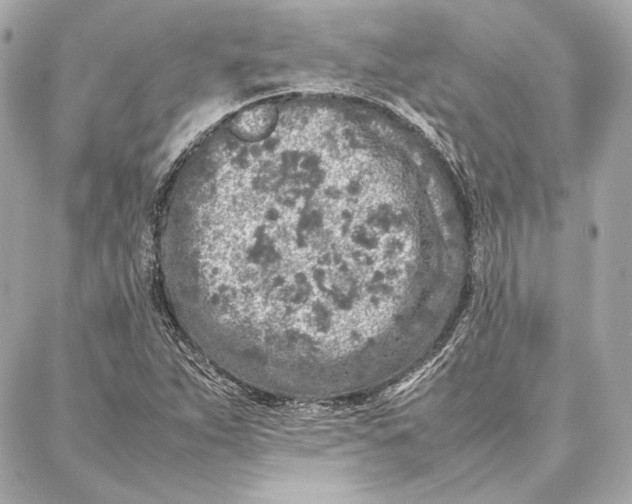 X0000087361263200705111636