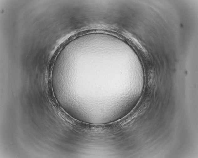 X0000087361264200705111636