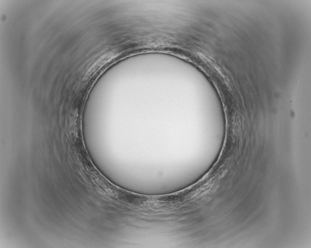 X0000087361265200705111636