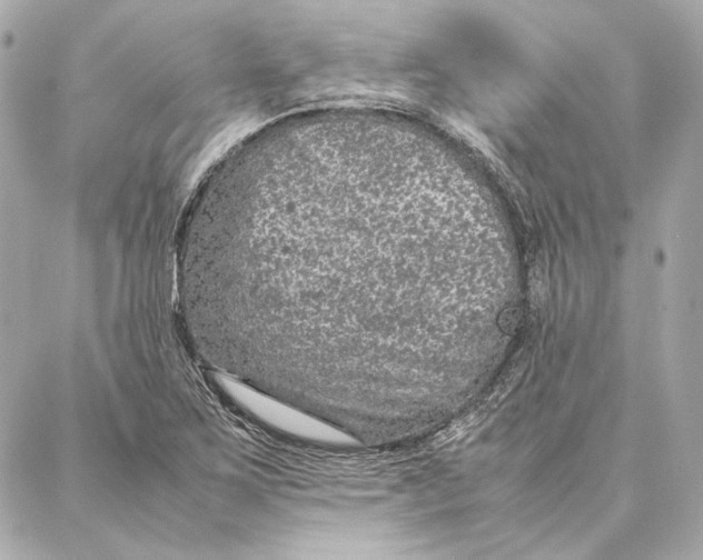 X0000087361267200705111636