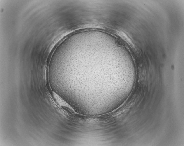 X0000087361268200705111636