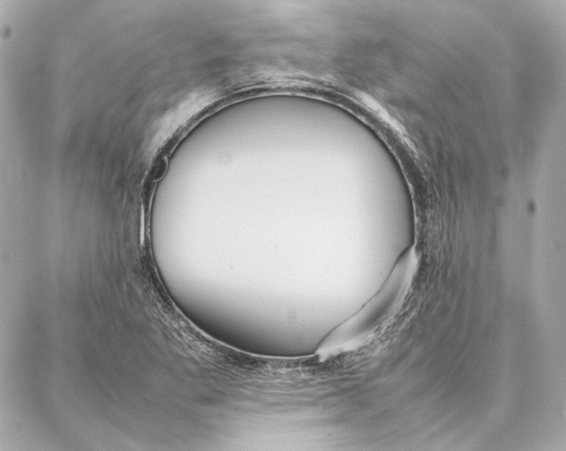 X0000087361269200705111636