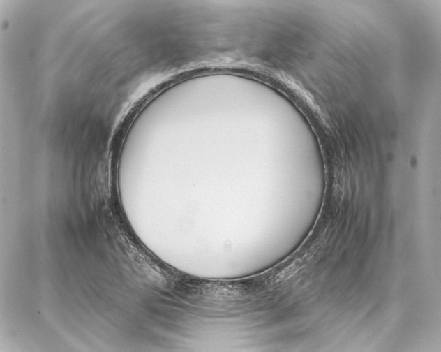 X0000087361270200705111636