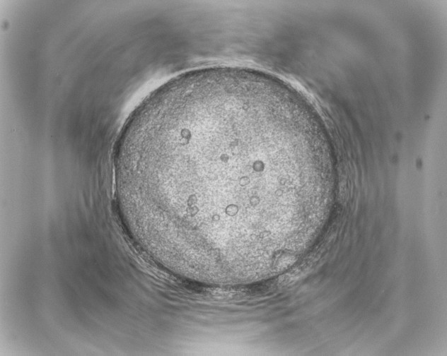 X0000087361271200705111636