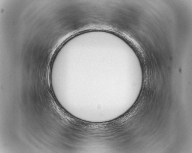 X0000087361272200705111636