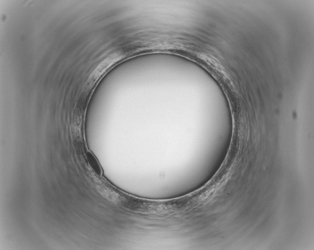 X0000087361273200705111636