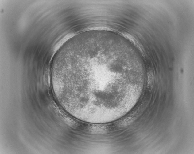 X0000087361274200705111636