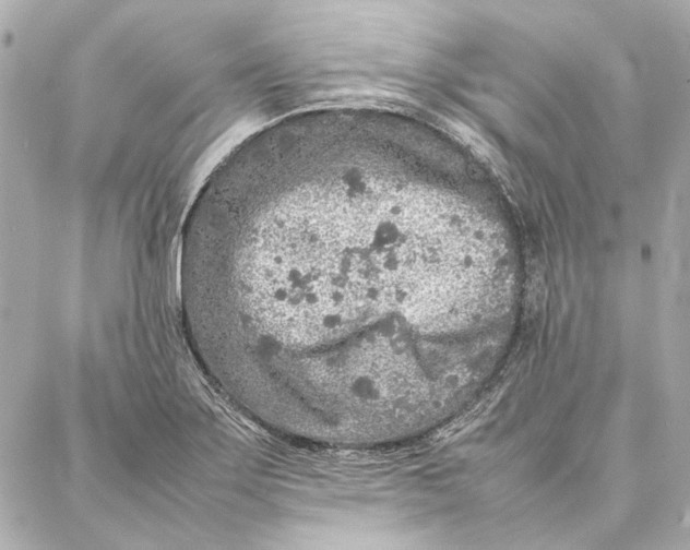 X0000087361275200705111636