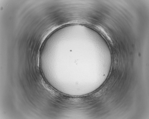 X0000087361276200705111636