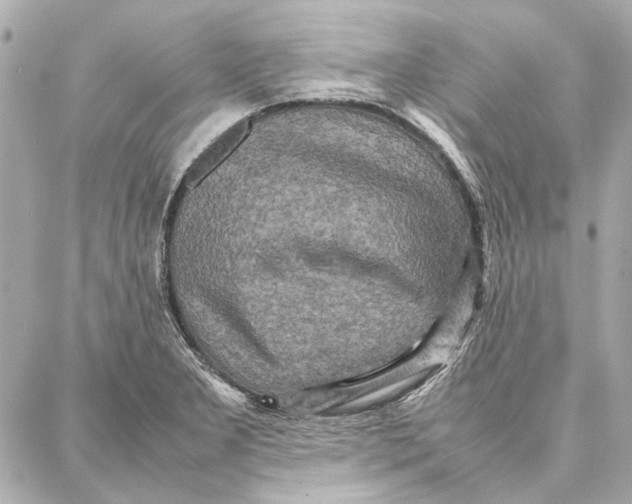 X0000087361277200705111636