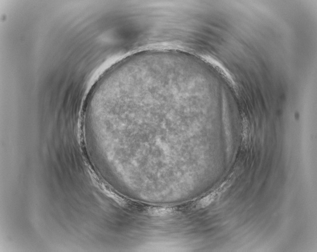 X0000087361278200705111636