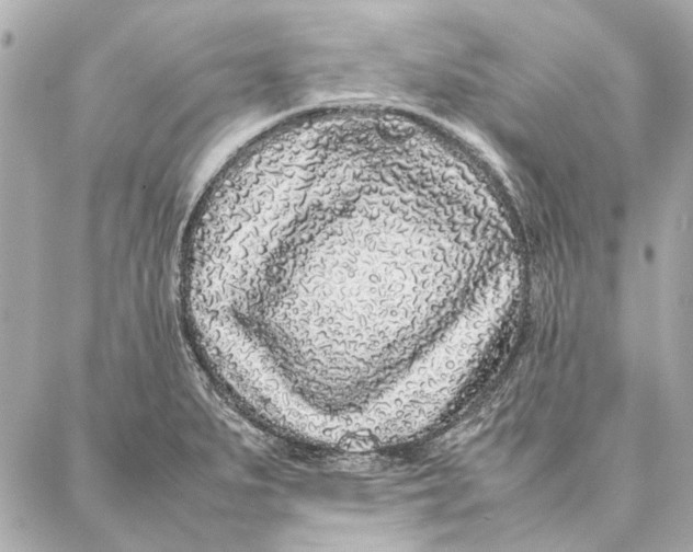 X0000087361279200705111636