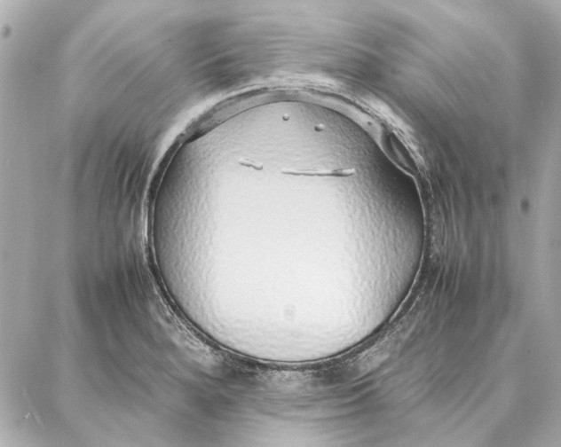 X0000087361280200705111636