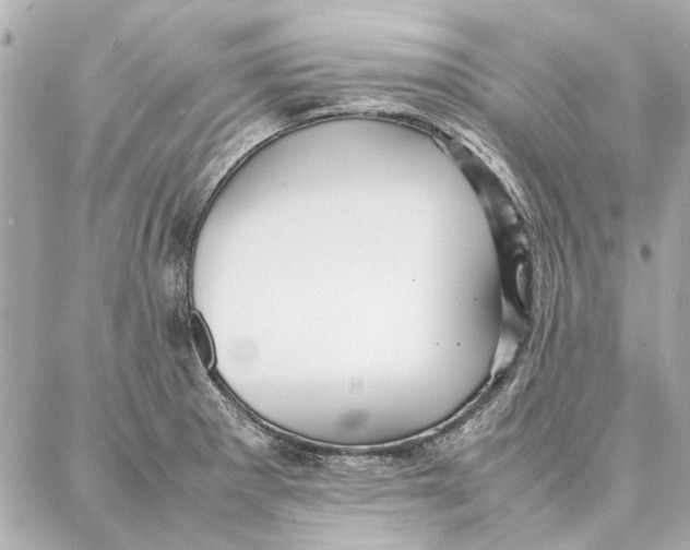 X0000087361281200705111636