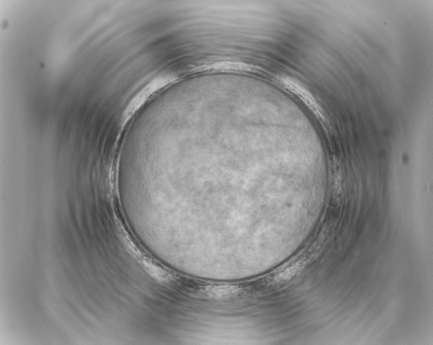 X0000087361282200705111636