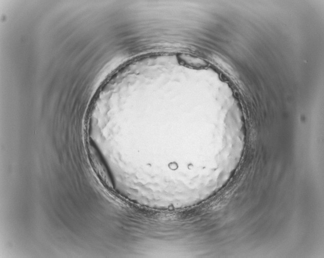 X0000087361283200705111636