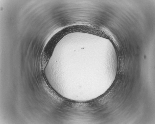 X0000087361284200705111636