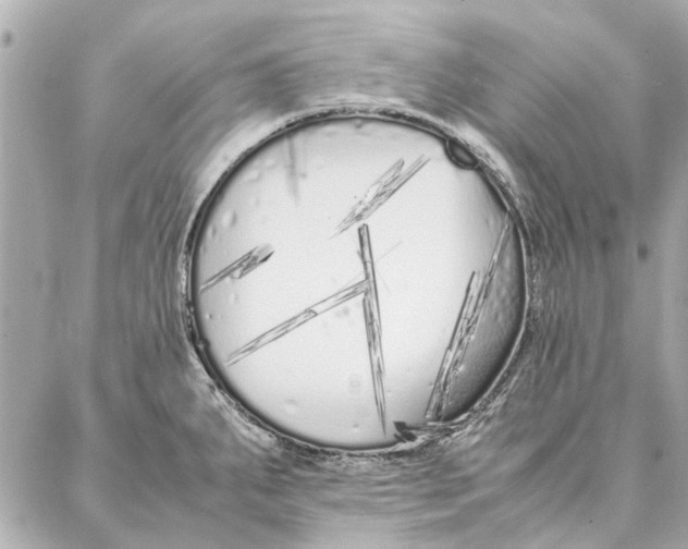 X0000087361287200705111635