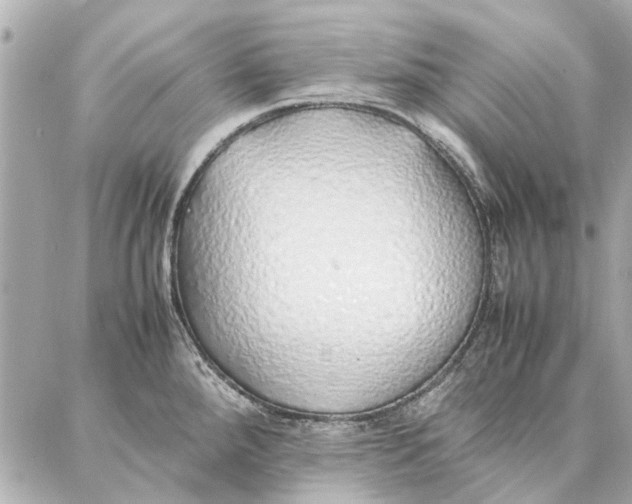 X0000087361288200705111635