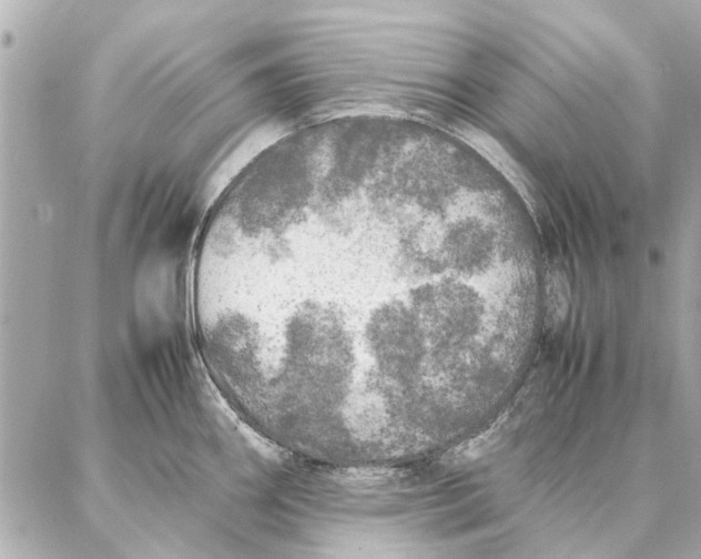 X0000087361290200705111635