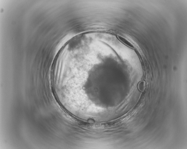 X0000087361291200705111635