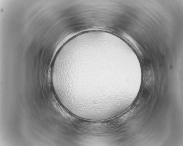 X0000087361292200705111635