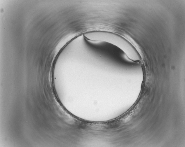 X0000087361293200705111635