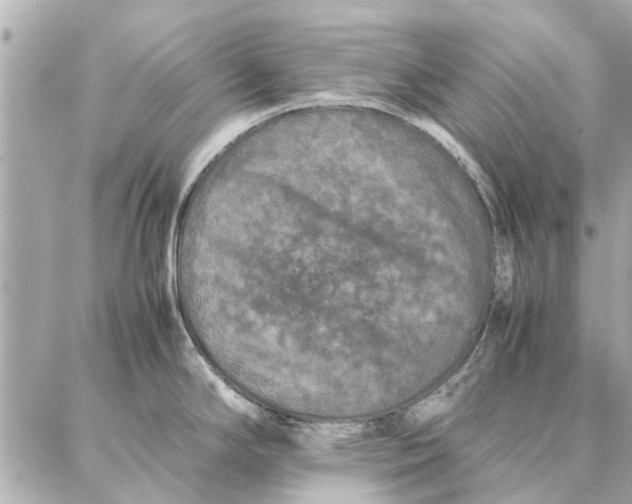 X0000087361294200705111635