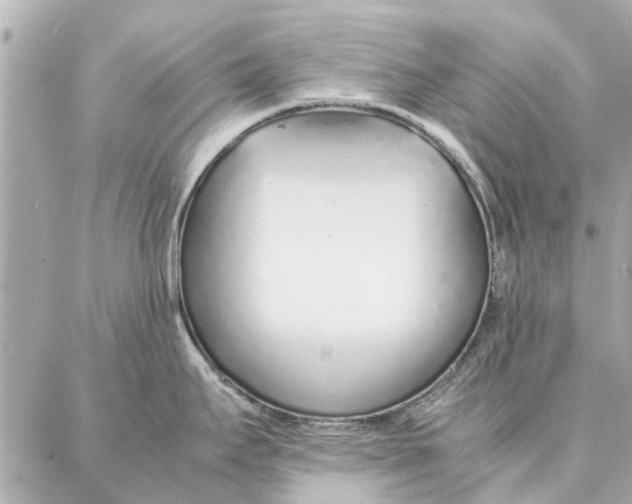 X0000087361295200705111635