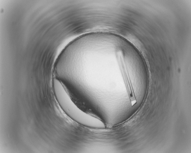 X0000087361296200705111635