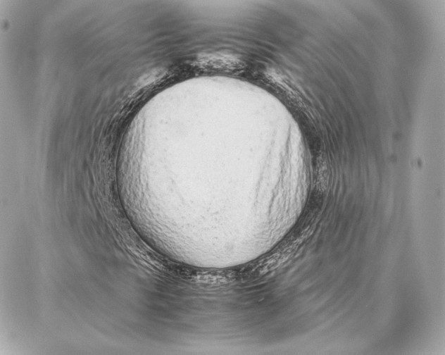 X0000087361297200705111635