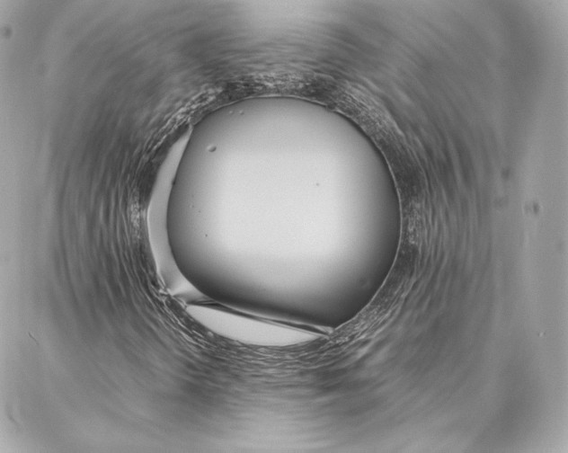 X0000087361298200705111635