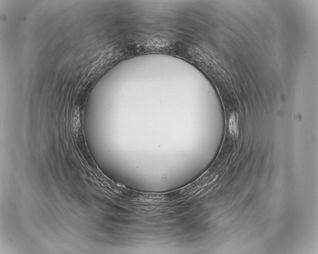 X0000087361299200705111635