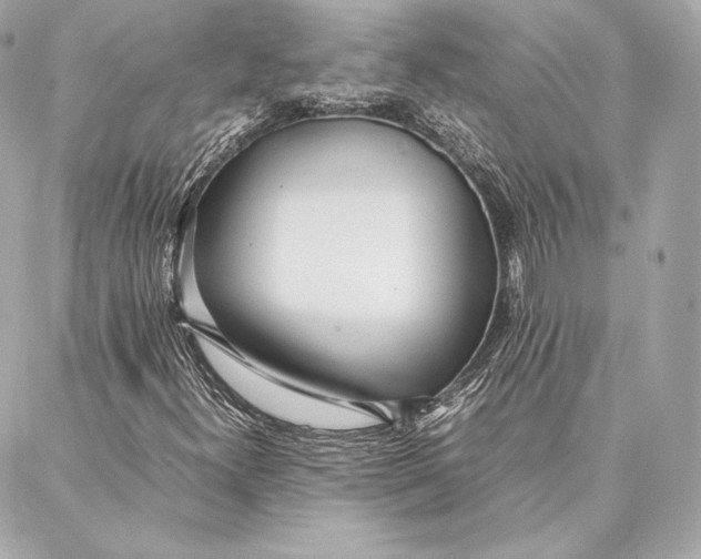 X0000087361300200705111635