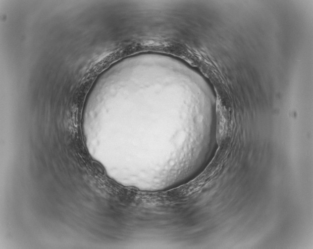 X0000087361301200705111635