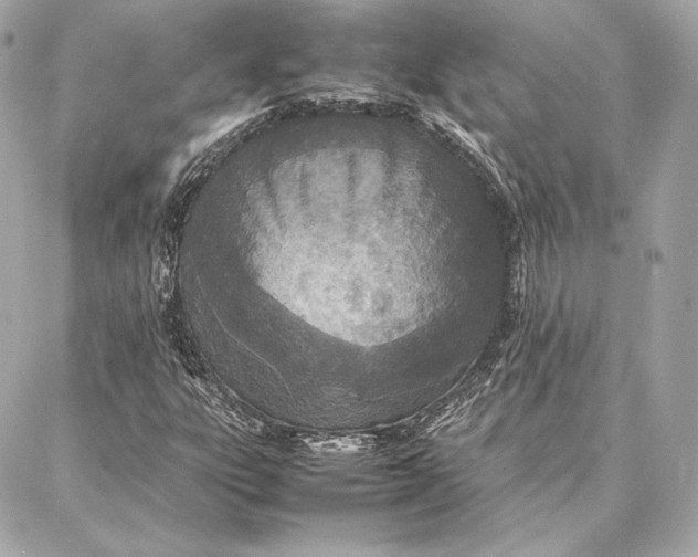 X0000087361303200705111635