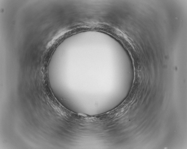 X0000087361304200705111635