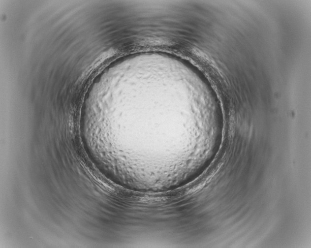 X0000087361305200705111635