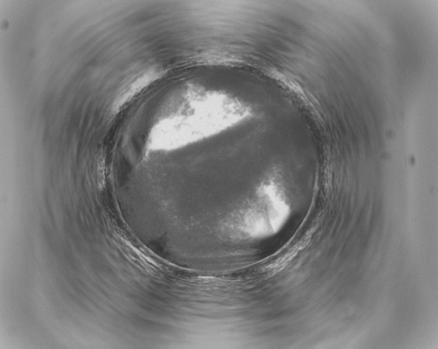 X0000087361306200705111635