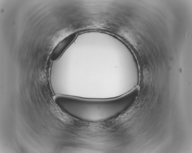 X0000087361308200705111635