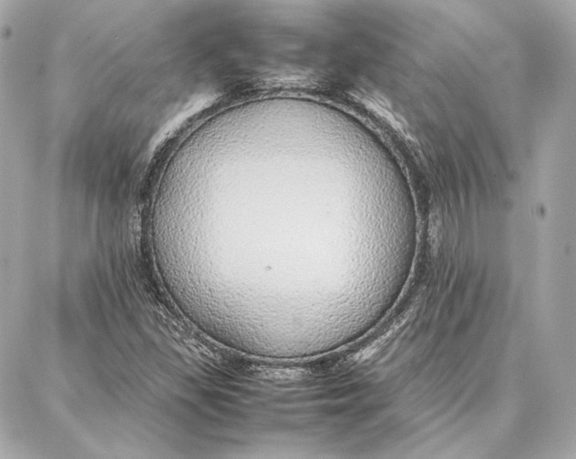 X0000087361309200705111635