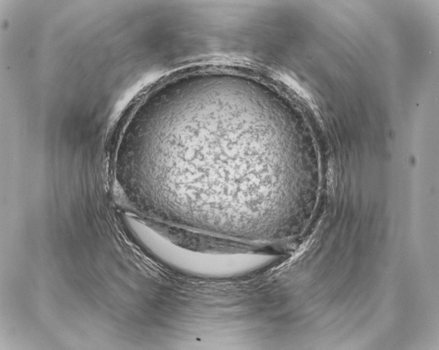 X0000087361310200705111635