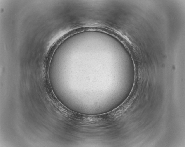 X0000087361311200705111635