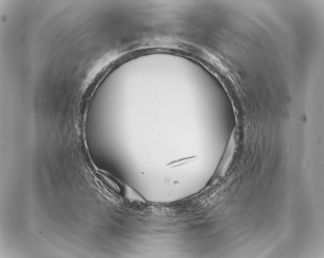 X0000087361312200705111635