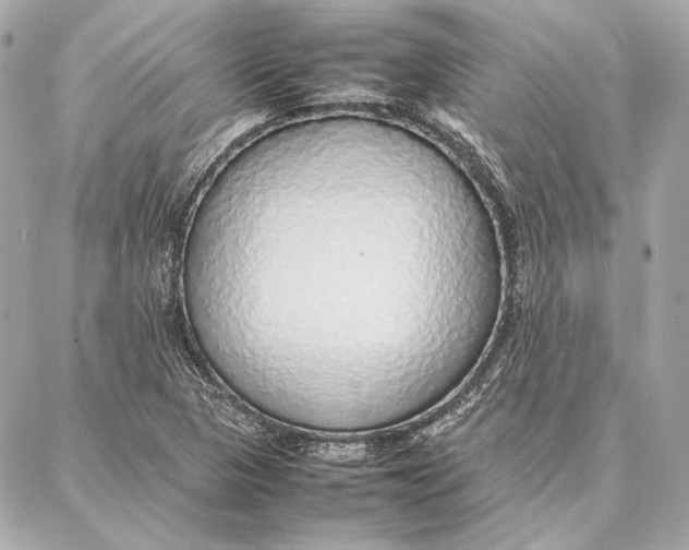 X0000087361313200705111635