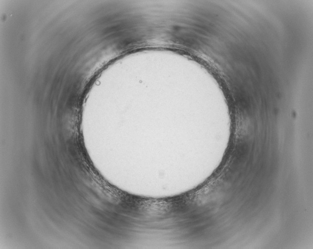 X0000087361314200705111635