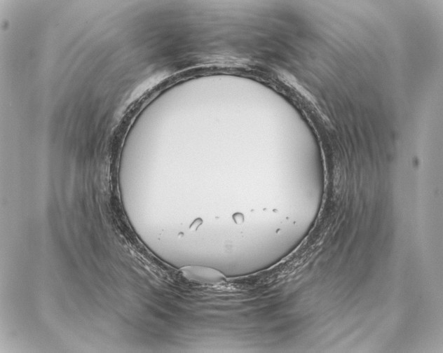 X0000087361315200705111635