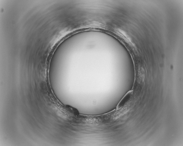 X0000087361316200705111635